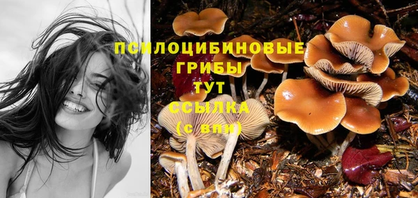 молекула духа Алзамай