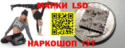 a pvp Гатчина