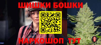 a pvp Гатчина