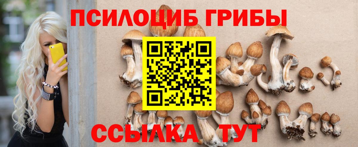 Тверь  Галлюциногенные грибы мицелий  Вход с VPN 